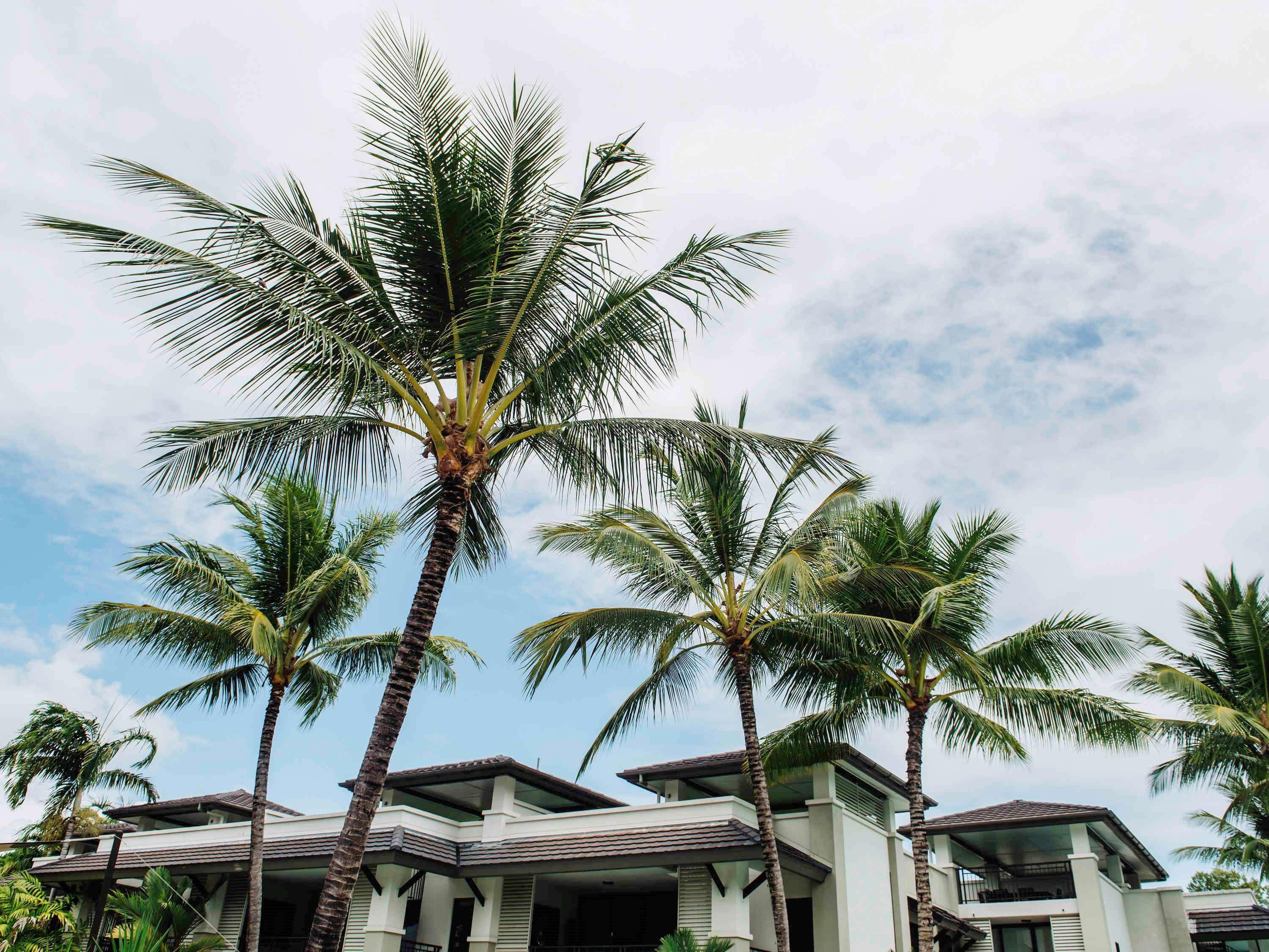 Pullman Port Douglas Sea Temple Resort And Spa Экстерьер фото